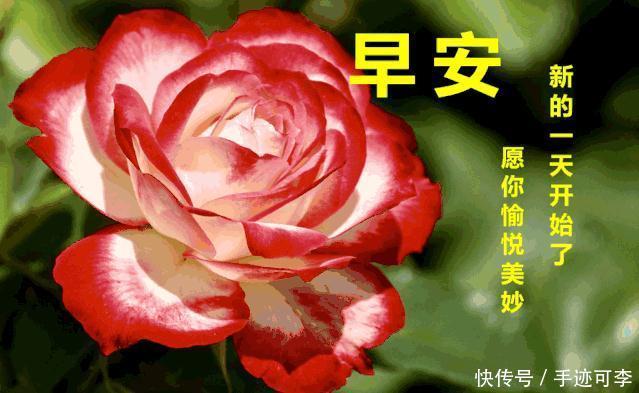 早安|走过,经过,尝过,还是平淡最美;听过,看过,想过,还是简单最好,早安