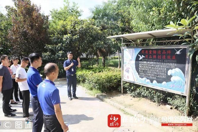  鲁南制药集团|鲁南制药：坚守质量 铸就企业发展最强底气