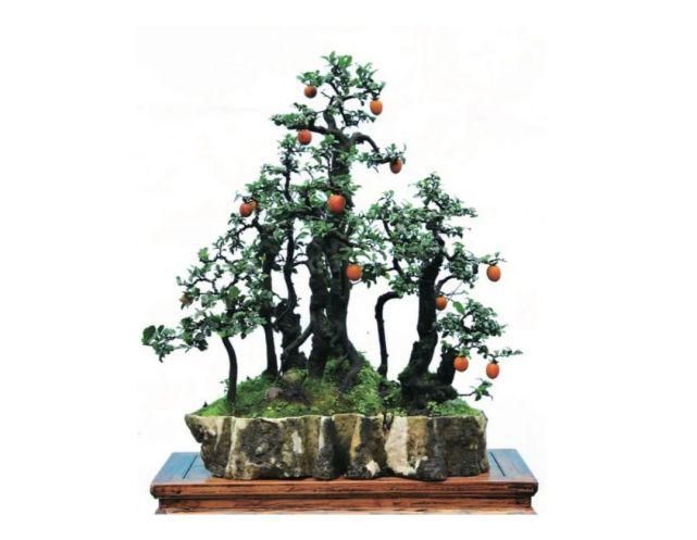  文旅|区县文旅精品荟｜遇见重庆 南岸起风景