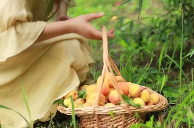  李子|她用3年时间爆改老宅，把荒地变花海：原来除了李子柒，我们还有另一种田园牧歌