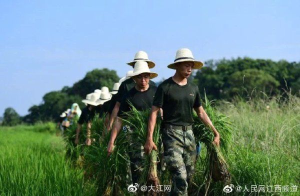 支队|武警江西总队宜春支队爱民助民暖民心