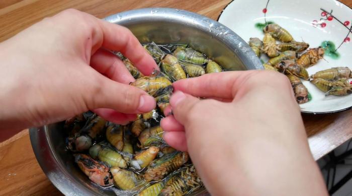  正当|立秋前，这美味抓紧吃，高营养高蛋白，现在正当季，错过再等一年