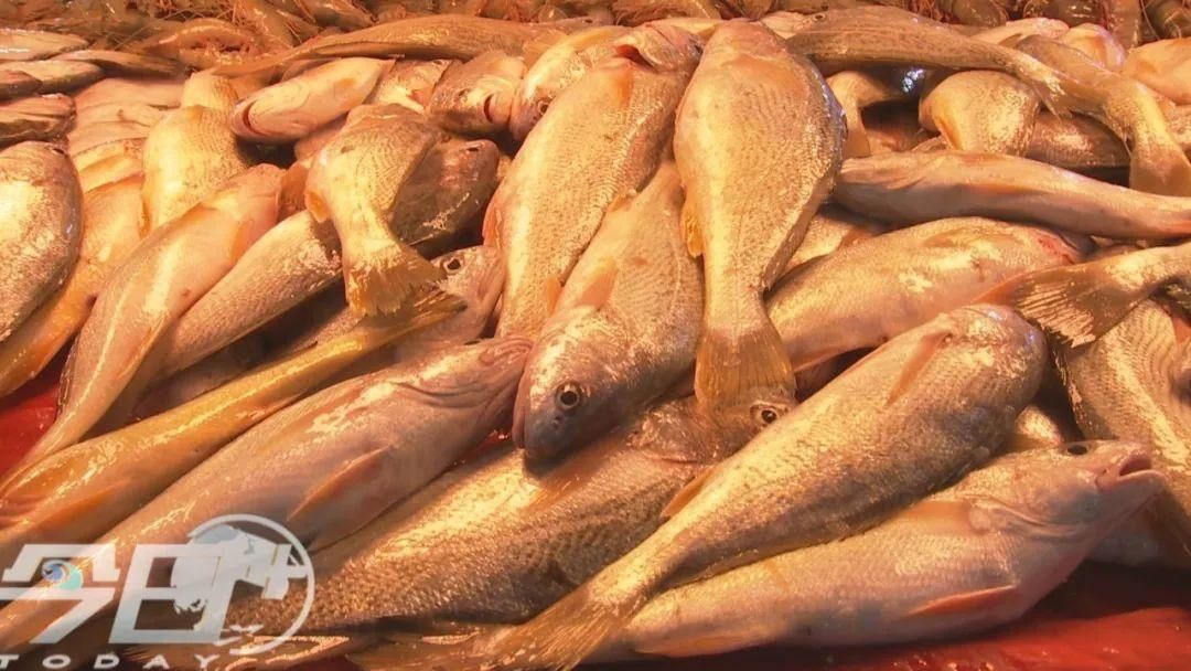 大鱼|青岛海鲜市场现一米多长大鱼！很多老青岛都不认识……