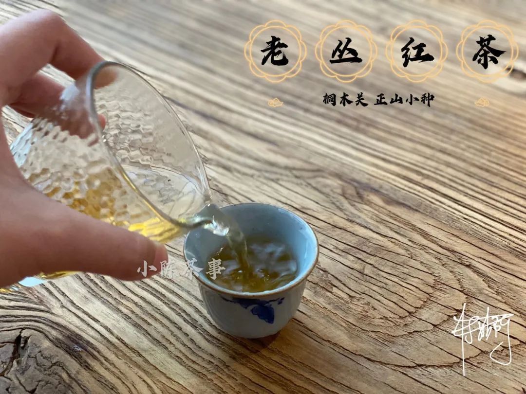 传统|从老丛红茶、烟小种到花香小种，这款红茶代表了传统小种的定义