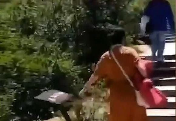 景区|嚣张！大妈景区疯狂破坏公共设施，被抓后一脸无辜：我心情不好