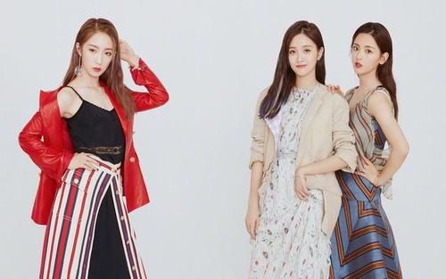  天赋|最萌身高出奇效，最新档音乐综艺出炉，冯提莫靠天赋上位