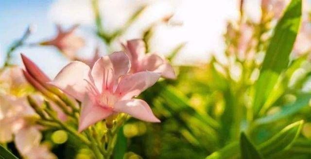 久别重逢|我们相遇,匆匆离去