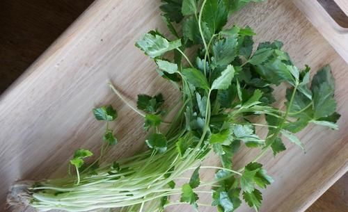三大|风味大不同?认识三大香菜:芫荽、鸭儿芹、香芹