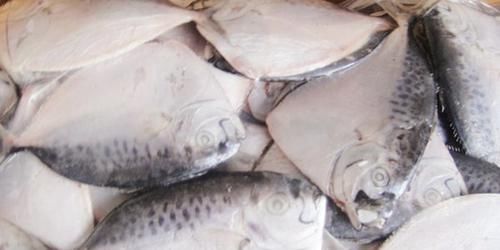  新鲜|冰箱拿出来的冻鱼，万万不要用水泡，教你一招，鱼解冻快，特新鲜