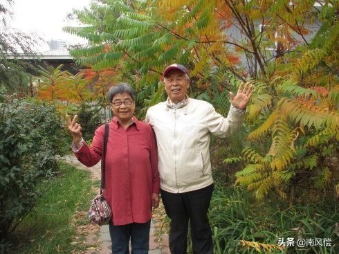 不生|第一批丁克已经老了，不生孩子，他们后悔了吗？看这个两个家庭