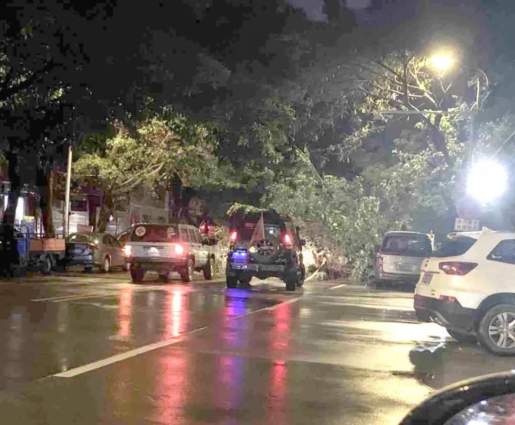  越野车|好紧要！淡水一棵大树凌晨被吹倒，这群开越野车的人去做了这件事....