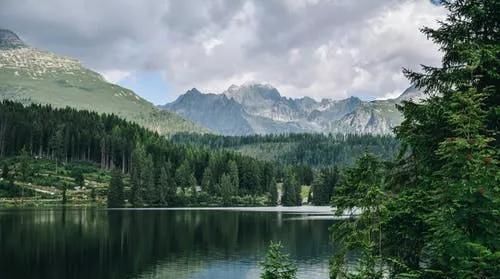  生肖|下半年最顺利的五大生肖, 无病无灾, 心想事成