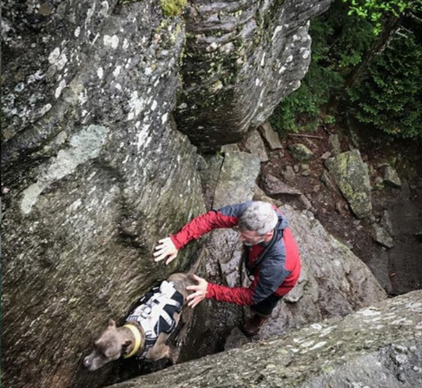 改过自新|男子有很多恶习,狗狗却帮助他改过自新,他们一起同甘共苦