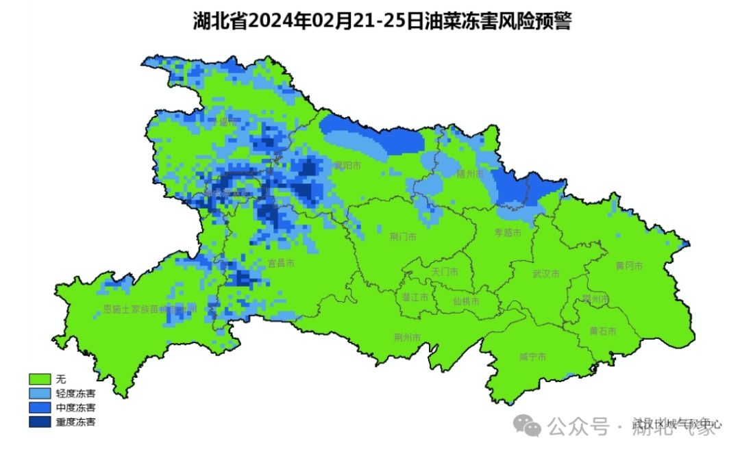 湖北再现寒潮大风和雨雪冰冻天气，设施农业和大田作物复合灾害风险高