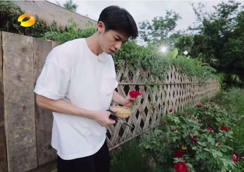 湖南卫视|继黄晓明后,《向往的生活》又迎来最能干的嘉宾,却遭到黄磊冷落