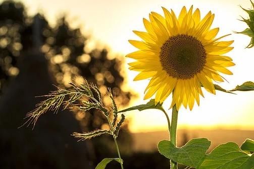  人生|人民日报：让你人生瞬间豁然开朗的68个神回答