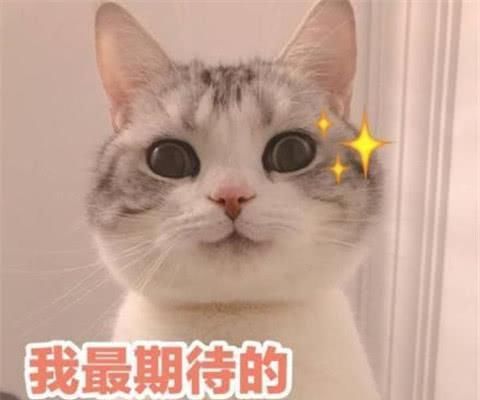  阵容强大|元气满满的哥哥官微宣嘉宾阵容，杨洋常驻出乎意料，节目阵容强大