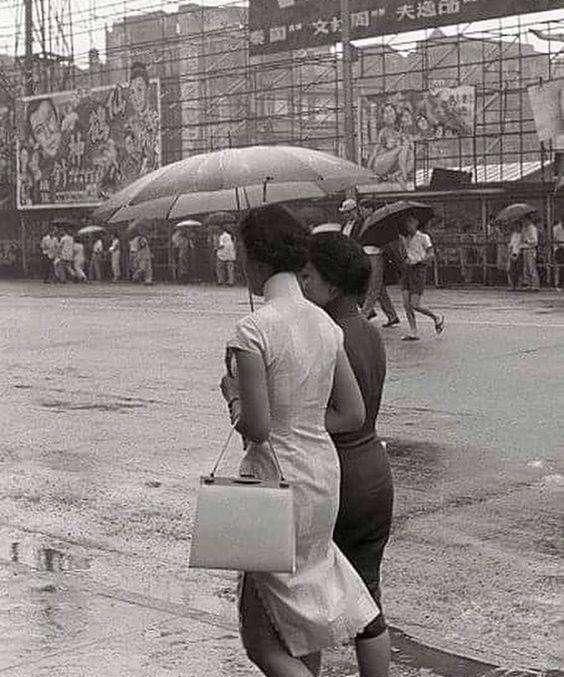 董玉贞|民国悬案,女子失踪丈夫登报寻人,警察调查无果却被一只猫破解?