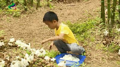 美食|美食正当季，“舌尖上的美食”声名远扬！