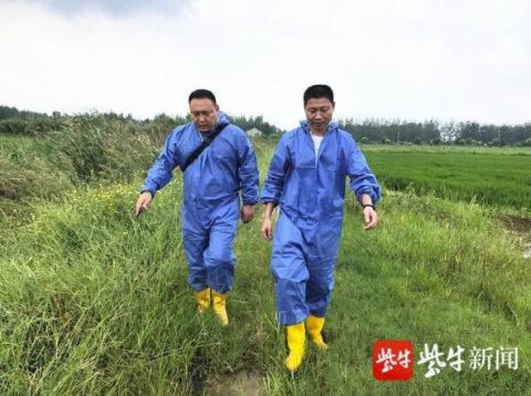 进驻|深夜，偏僻猪场内28头价值10万元的小种猪被盗，警方进驻一周“揪”出内鬼