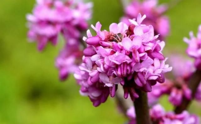  好日子|九月份开始，轻松逆袭，好运伴身，好日子要来了的四大生肖