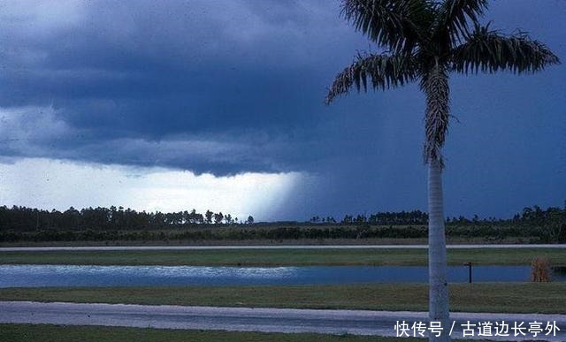  神秘|让人毛骨悚然的，10个犯罪谜团，和佛罗里达州神秘事件