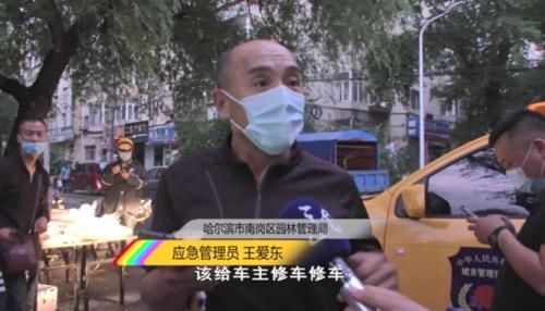  郭平宇|一场疾风暴雨，大树倾倒，树下货车被砸了！