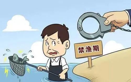 男子|黄平两男子使用电鱼机非法捕鱼，双双获刑?