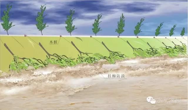 反滤铺盖|必看 | 堤防抢险技术