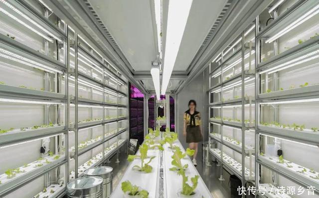 广州瑰丽酒|9月欲望清单丨 野奢营地小住，网红展览开幕