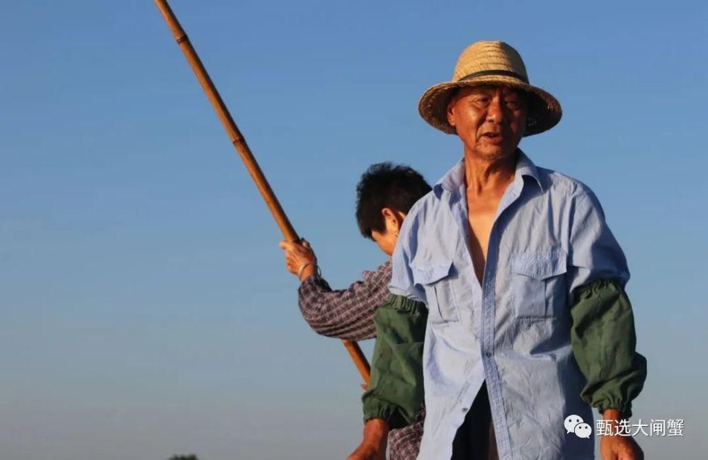 黄油|过了中秋，才是吃大闸蟹的时候？秃黄油，鲜到你灵魂颤抖