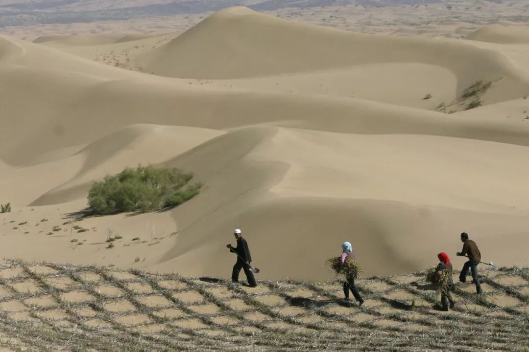  毛乌素地区|中国四大沙漠之一的“毛乌素沙漠”是怎么消失的