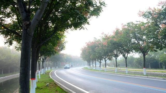  美丽农村路|这项工作，许昌今年计划投资7.5亿元