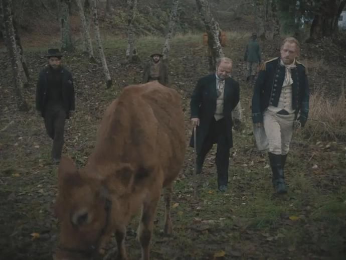  魔力|这部有魔力的“新”电影，祭出年度最美结尾