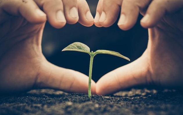 老太|72岁老太给儿女的遗书感谢你们3个给俺养老，但俺后悔生了你们