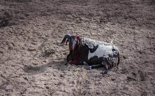  湖水|大柴旦：五彩谷天地雄奇之峻，翡翠湖水云婉约之华，柴达木探秘4
