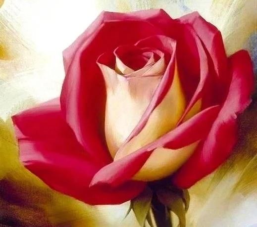 岁月|淡看花开花落，细品时光静好，尽享岁月安然