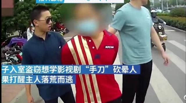 爆笑|沙雕入室盗窃见主人学影视剧中动作，结果搞笑了，网友爆笑评论