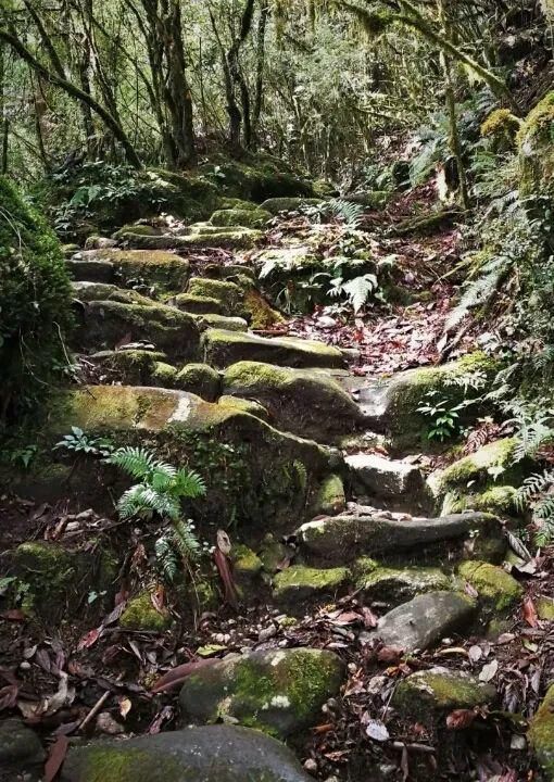  中国|高黎贡山 | 中国五星级观鸟胜地，你知道吗？