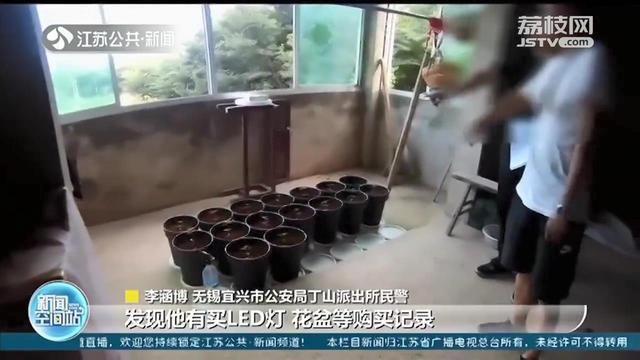  大麻|1千元购买10克大麻 牵出种植、贩卖、吸食毒品大麻全链条犯罪团伙