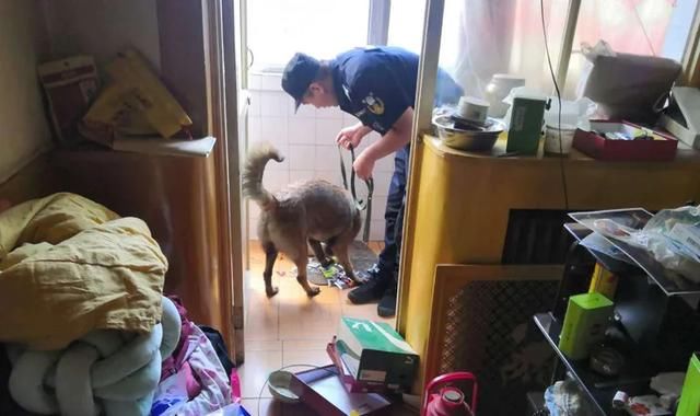 违法嫌疑人|《人民公安报》报道:文水严打涉毒违法犯罪