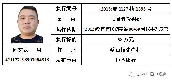  人民法院|黄梅县人民法院发布对邹南勇等110名被执行人的预拘留公告