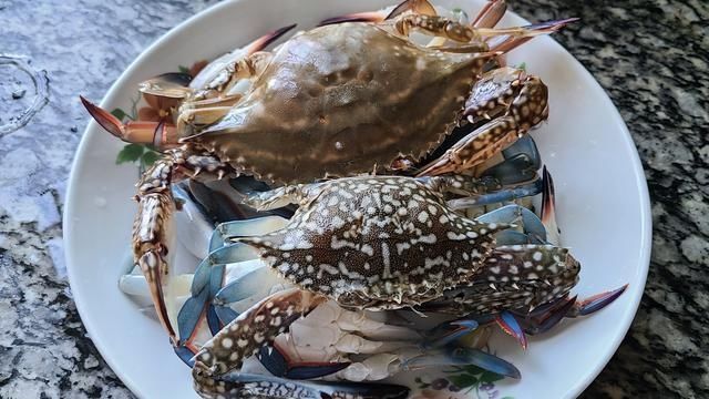 好吃|蒜蓉螃蟹的家常做法,很好吃的一道美食,简单美味,想吃就做