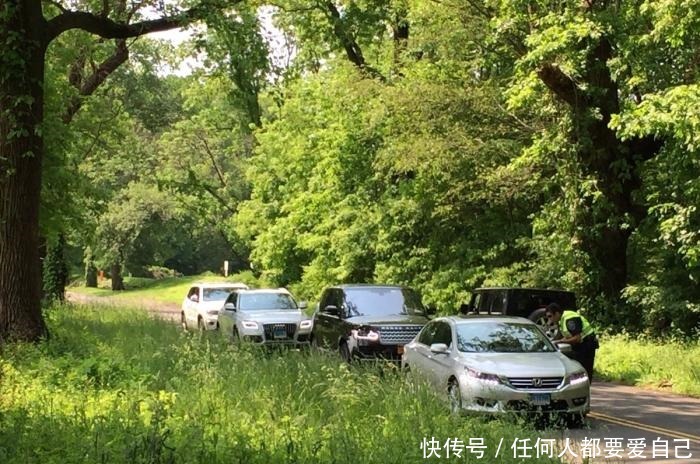 类似|浙江杭州来女士消失17天了,与“珍妮弗失踪案”情形类似