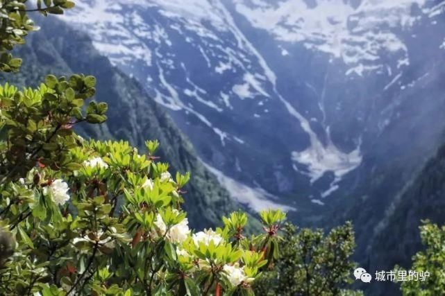  长白山|三伏暑热天，让我带你去这些只有25°的地方纳凉吧！