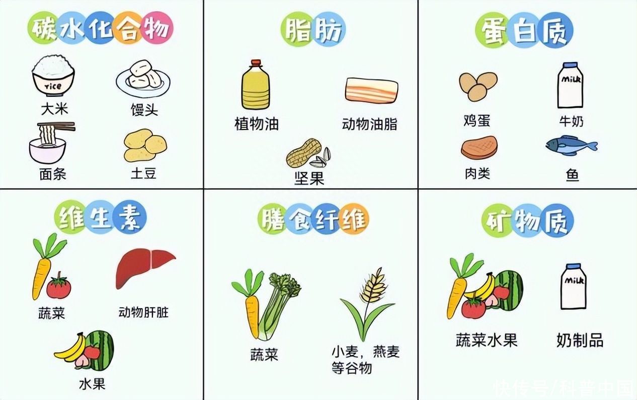 原来一直没掌握正确的减肥方法(这 4 种减肥方法都是错的！难怪一直减肥失败……)