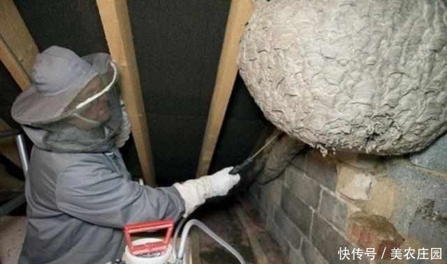 管道|男子看见房子外面墙壁上有奇怪管道,仔细一看赶忙向同志求助