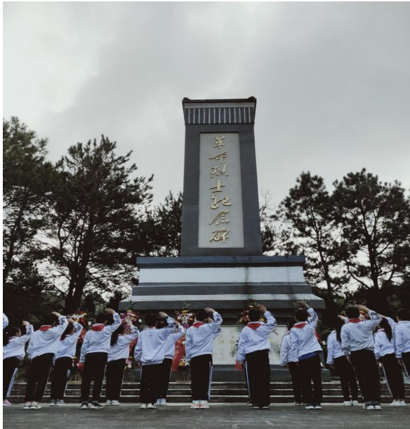 烈士纪念碑|行知小学少先队员代表参加国家第七个“烈士纪念日”公祭活动