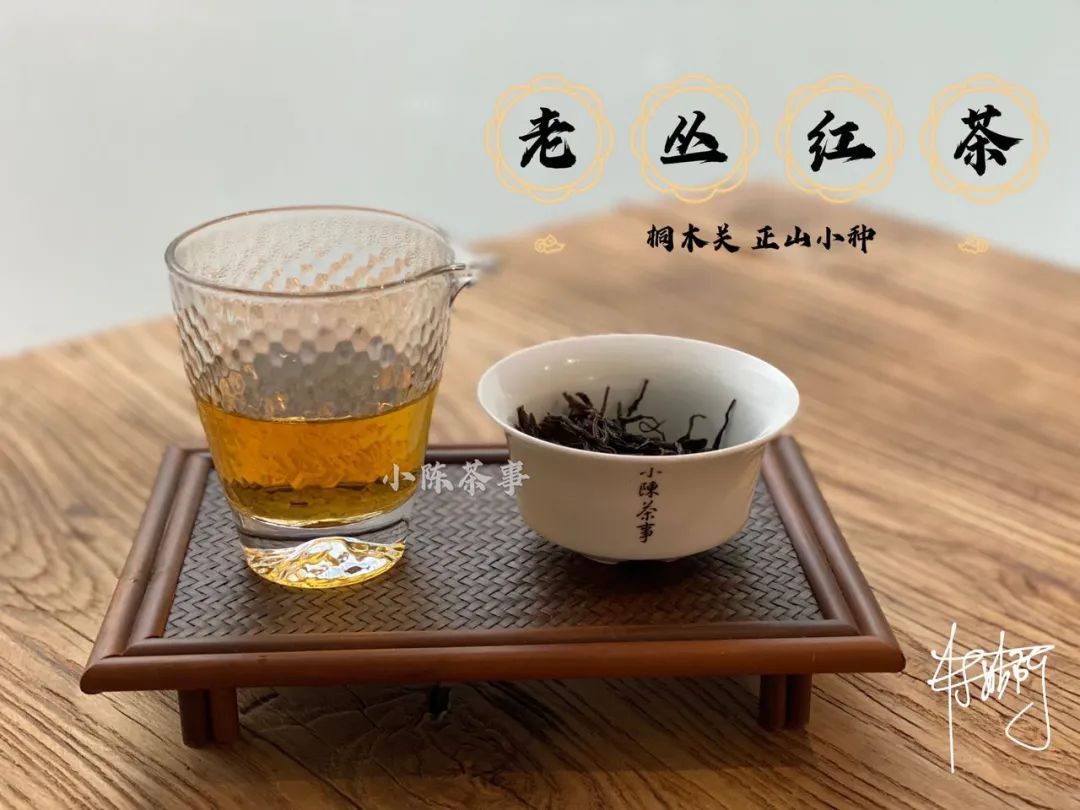 传统|从老丛红茶、烟小种到花香小种，这款红茶代表了传统小种的定义