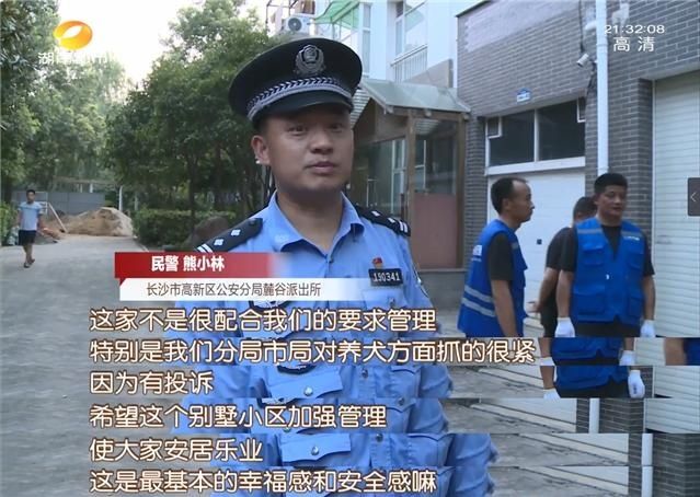 公园|长沙养犬的注意了！延长整治行动两个月，不戴嘴套、遛狗不牵绳…无证养犬直接扣留